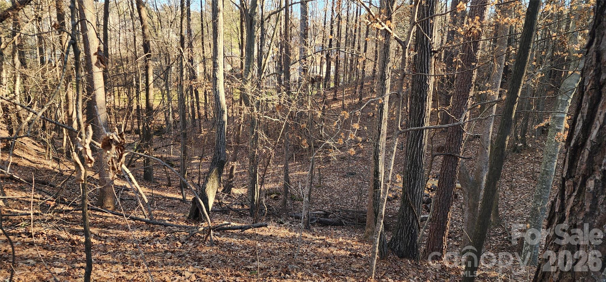 11176 Watertrace Drive Fort Mill, SC 29708 - Photo 22 of 30 a backyard of a house with lots of plants and trees