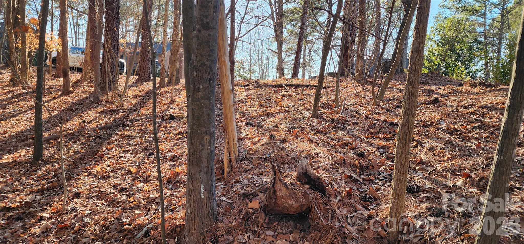 11176 Watertrace Drive Fort Mill, SC 29708 - Photo 23 of 30 a view of house with yard