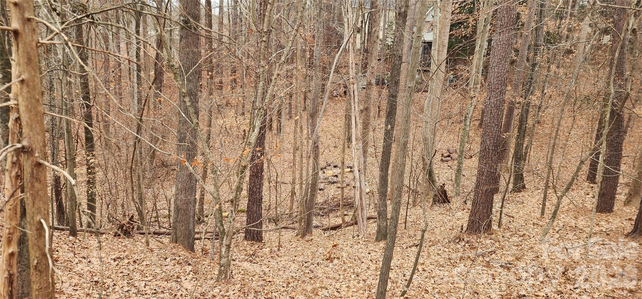 11176 Watertrace Drive Fort Mill, SC 29708 - Photo 24 of 30 a bathroom with a shower