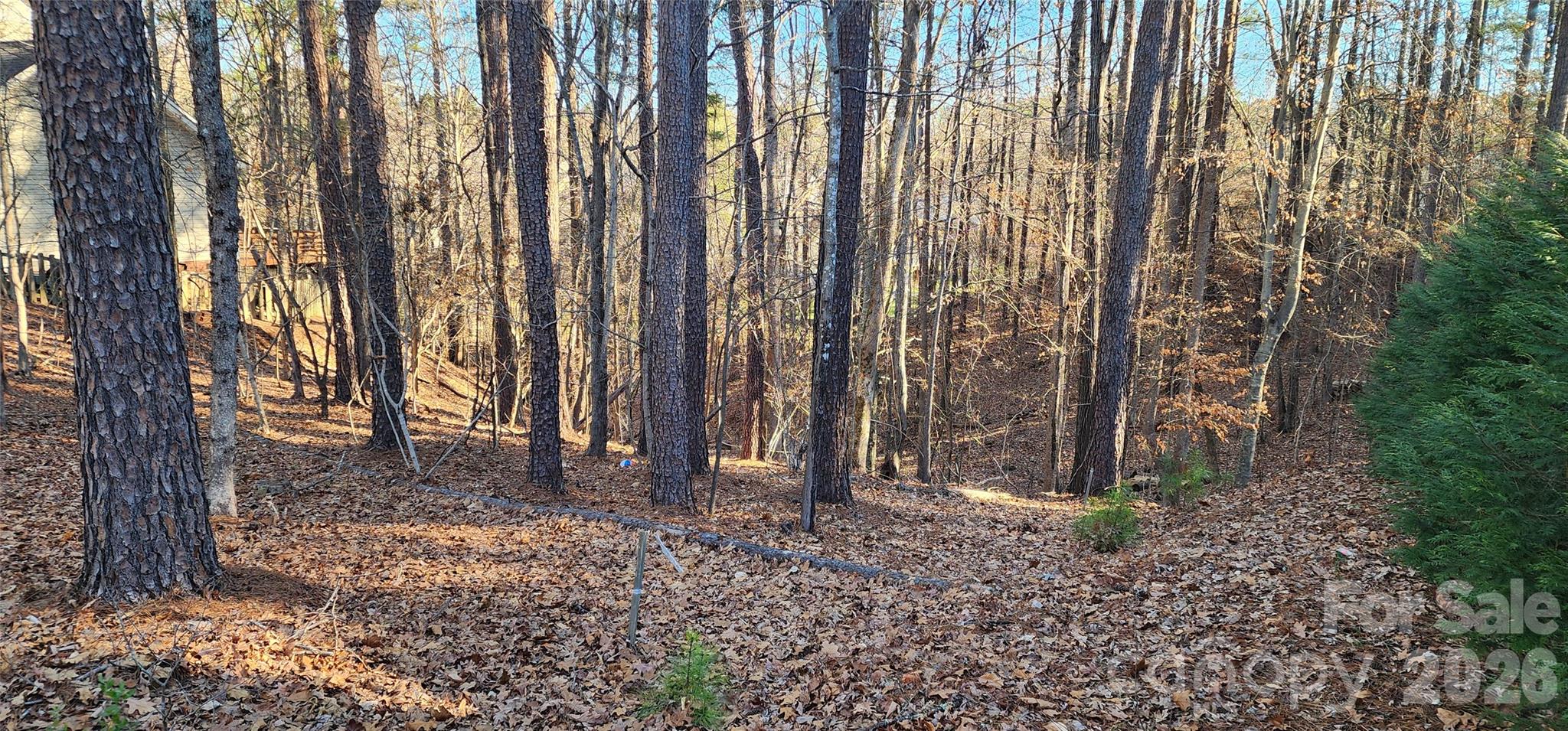 11176 Watertrace Drive Fort Mill, SC 29708 - Photo 3 of 30