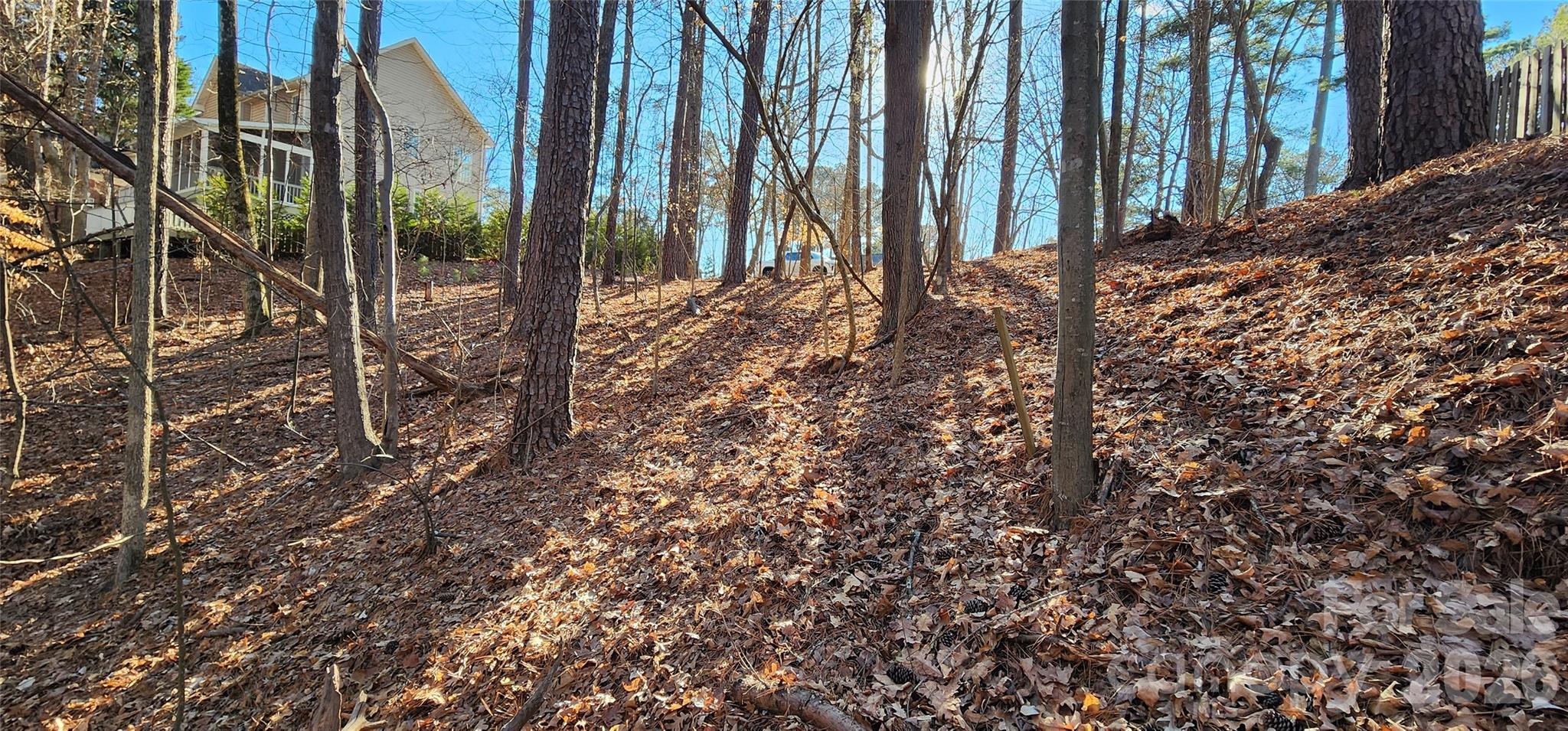 11176 Watertrace Drive Fort Mill, SC 29708 - Photo 5 of 30 a view of a backyard