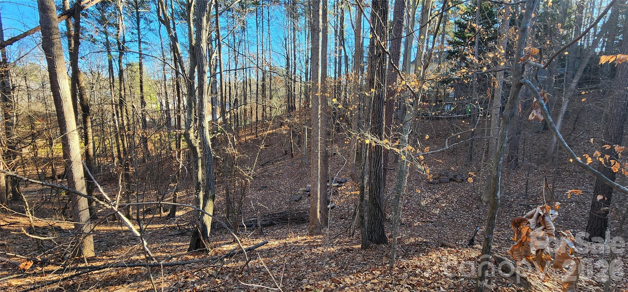 11176 Watertrace Drive Fort Mill, SC 29708 - Photo 7 of 30 a view of outdoor space and yard