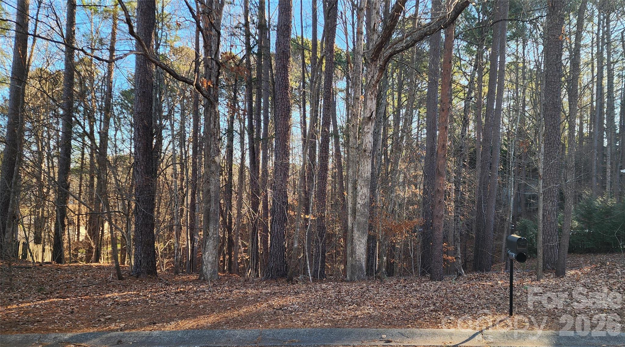 11176 Watertrace Drive Fort Mill, SC 29708 - Photo 9 of 30 a view of a forest