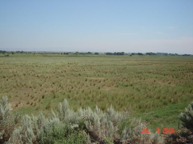 7603 Pumphouse Road Toppenish, WA 98948 - Photo 9 of 15 a view of a lake view