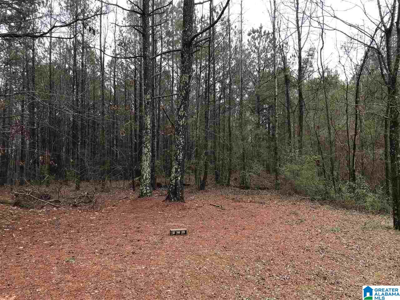 9236 Central Road Warrior, AL 35180 - Photo 9 of 10