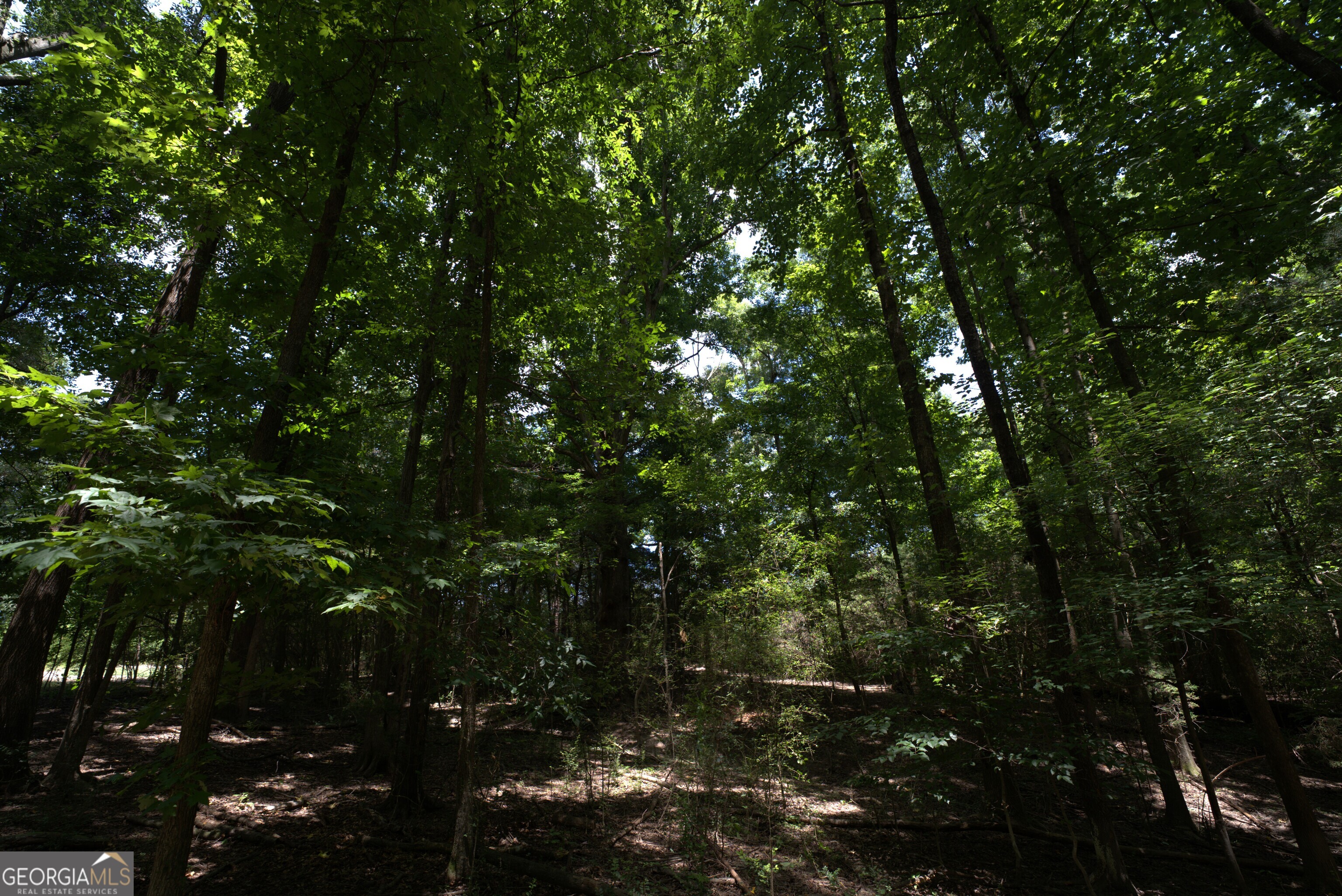 2170 Fork Creek Road Bowman, GA 30624 - Photo 32 of 58 Gallery Image 32