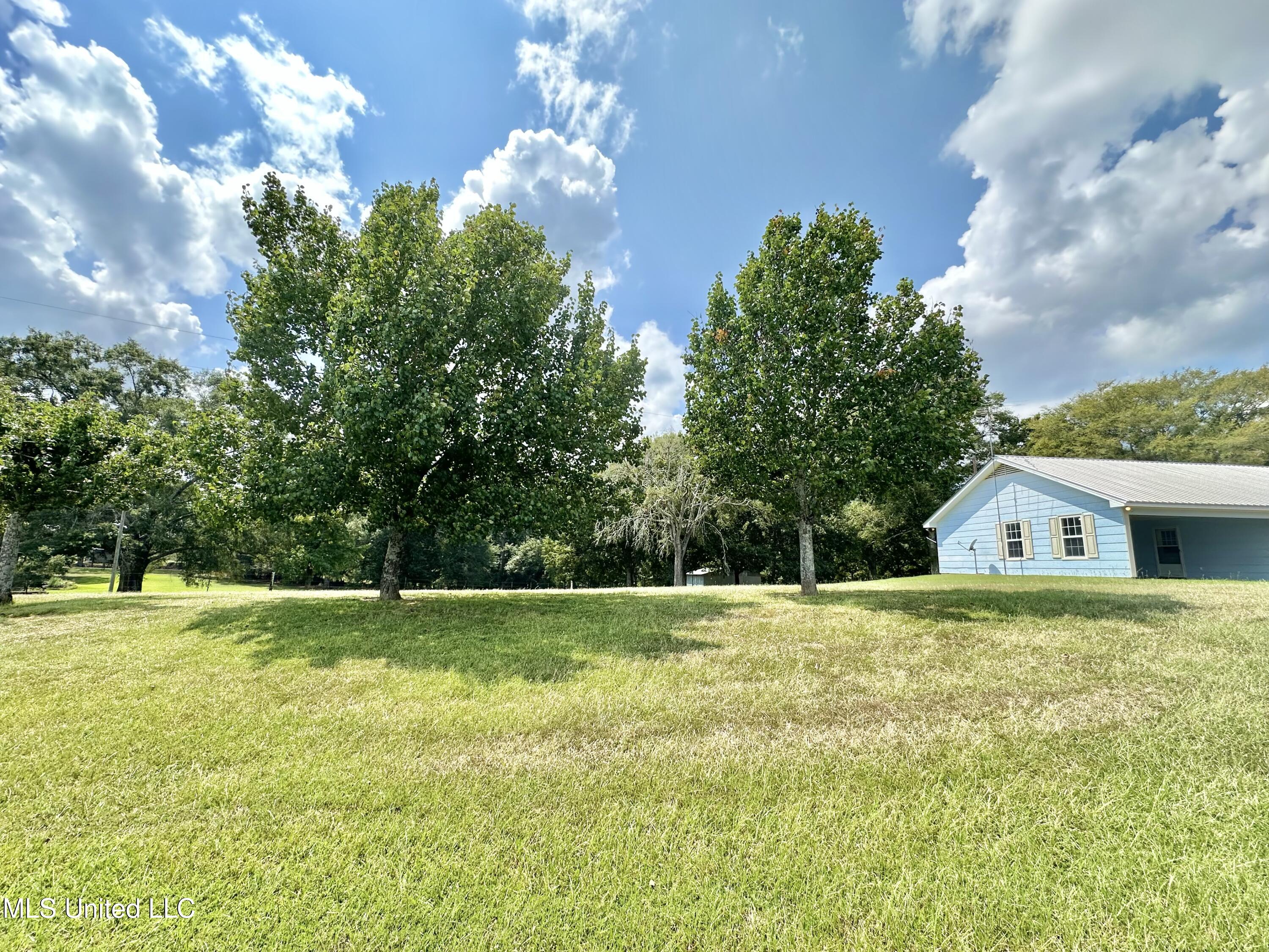 129 J B Womack Road Magee, MS 39111 - Photo 7 of 28 IMG_9814
