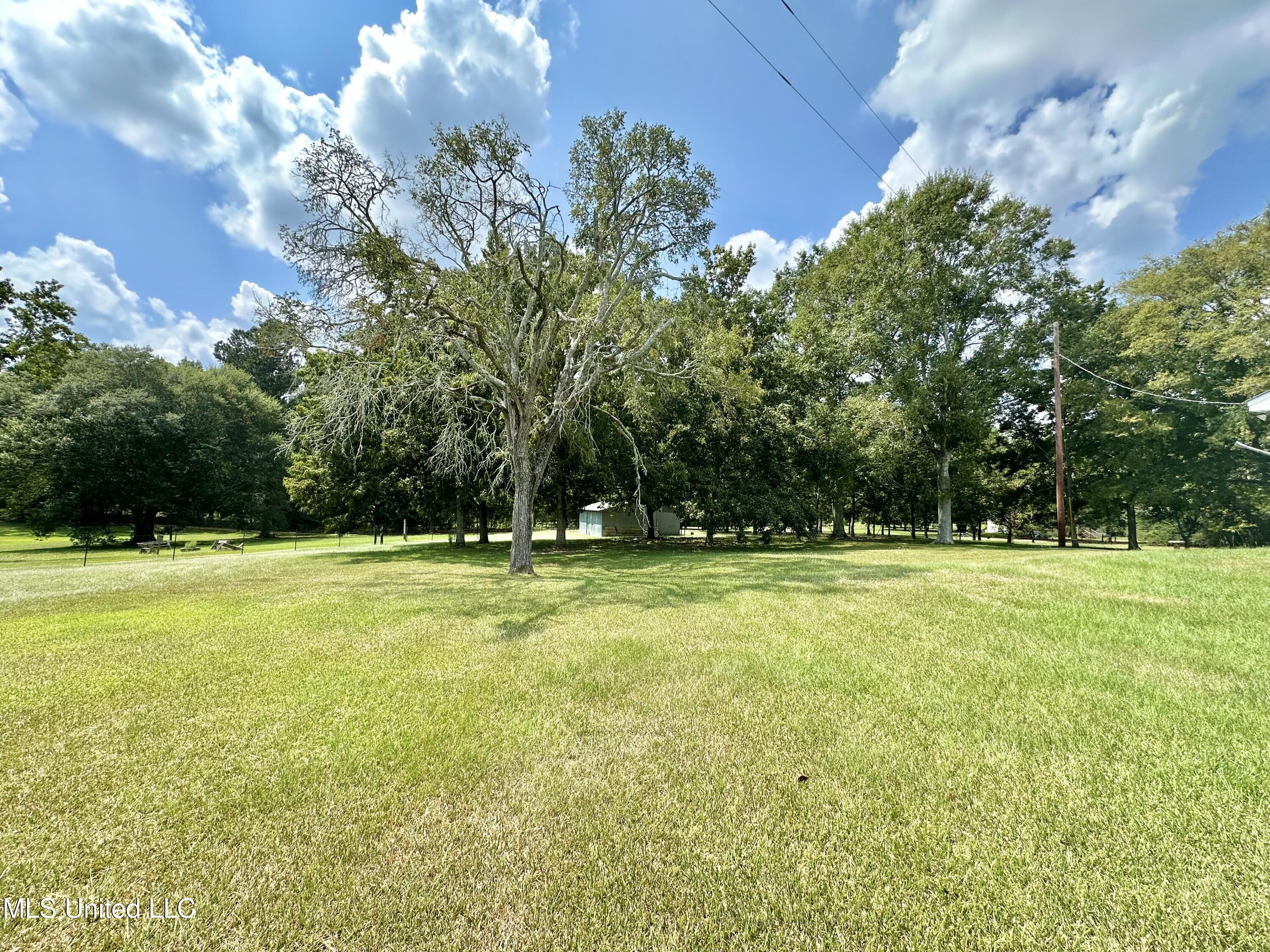 129 J B Womack Road Magee, MS 39111 - Photo 8 of 28 IMG_9815