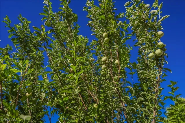 $1,975,000 | 120 Chartan Avenue, Las Vegas, NV 89183