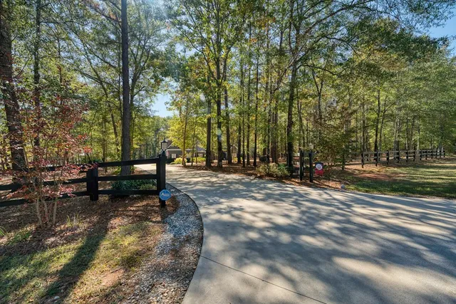 a view of a park with bench and trees