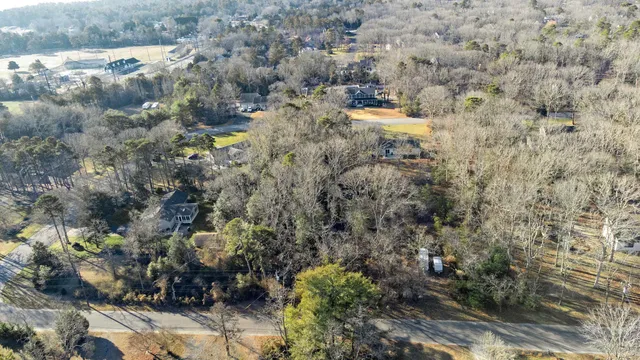 a view of a yard with plants and large trees