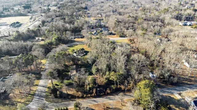 a view of a yard with a tree