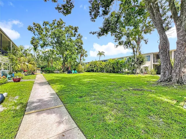 a view of a yard with plants