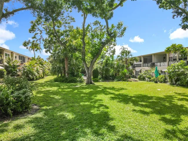 a view of a yard with plants and a large tree