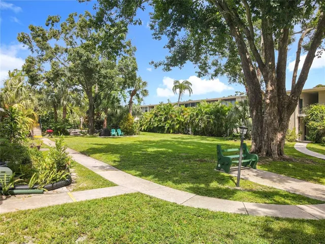 a view of a garden with a tree