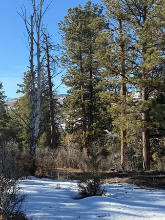 $245,000 | 120 Green Meadows Lane, Placerville, CO 81430