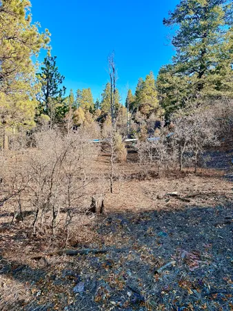 $245,000 | 120 Green Meadows Lane, Placerville, CO 81430