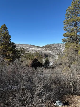 $245,000 | 120 Green Meadows Lane, Placerville, CO 81430