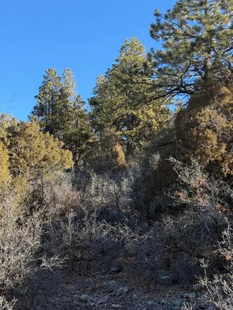 $245,000 | 120 Green Meadows Lane, Placerville, CO 81430