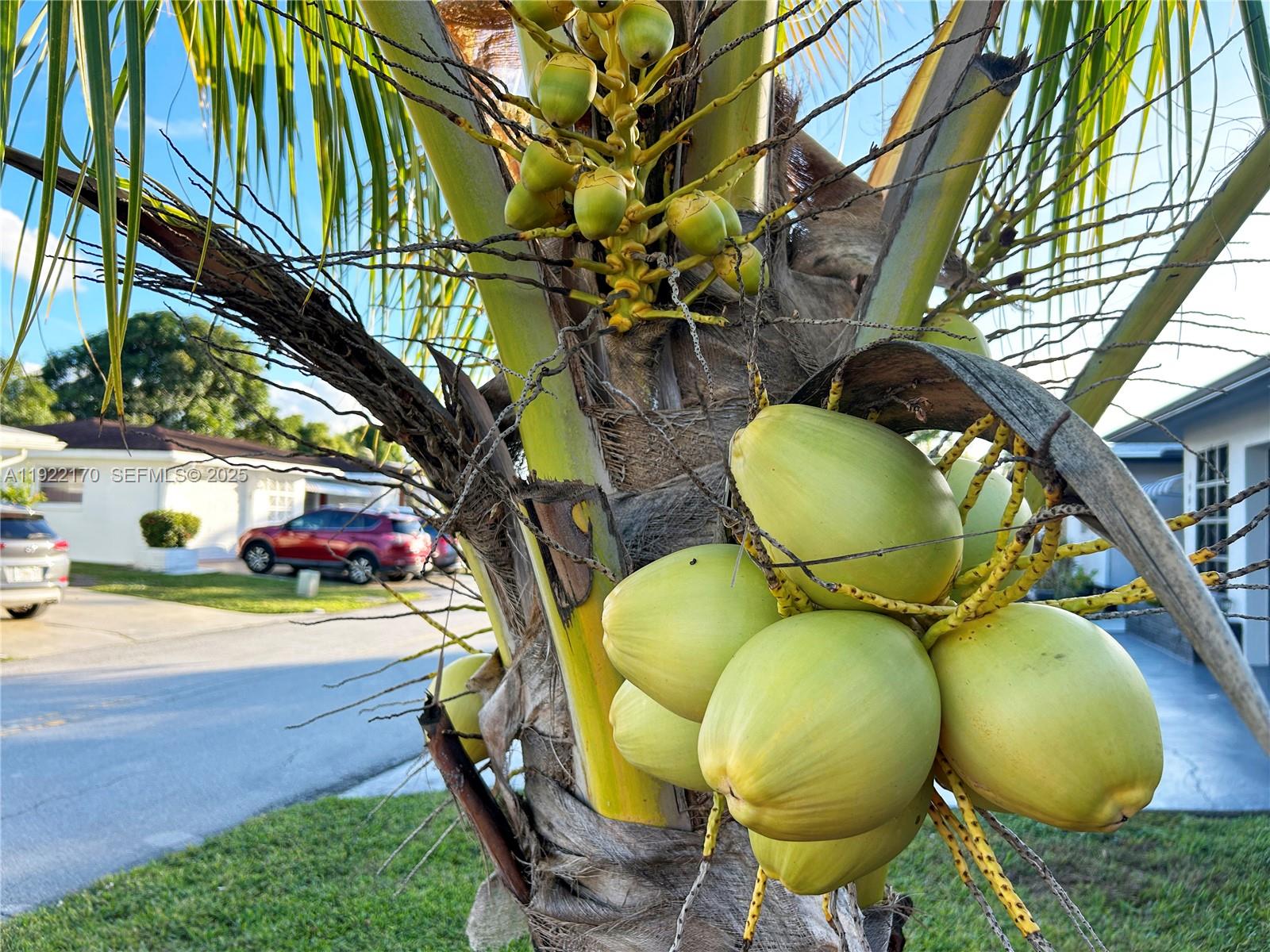 4905 Northwest 49th Road Tamarac, FL 33319 - Photo 19 of 25 a view of a slide in a backyard