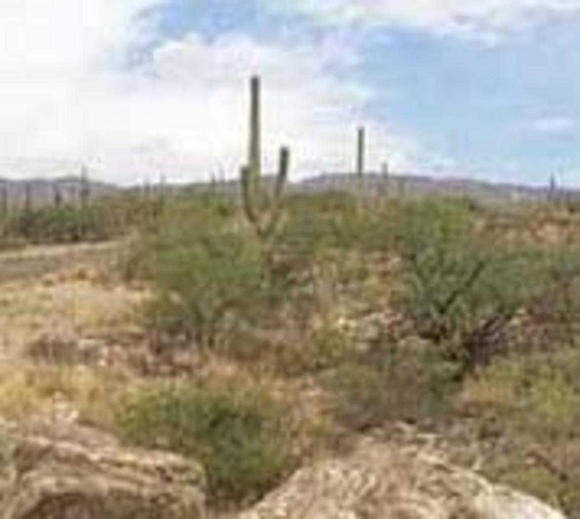 4020 Larkspur Road Tucson, AZ 85749 - Photo 2 of 4 Gallery Image 2