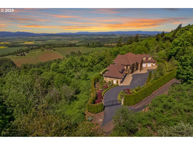 an aerial view of residential houses with outdoor space and ocean view