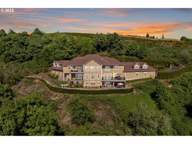 a view of a house with a yard and potted plants