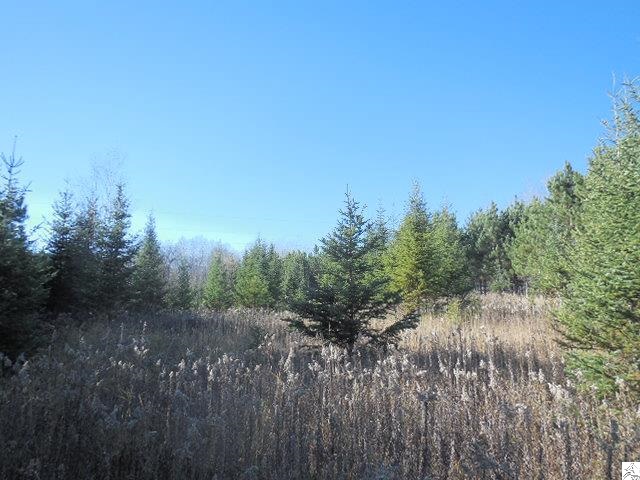 87595 Denham Road Denham, MN 55783 - Photo 3 of 7 Gallery Image 3
