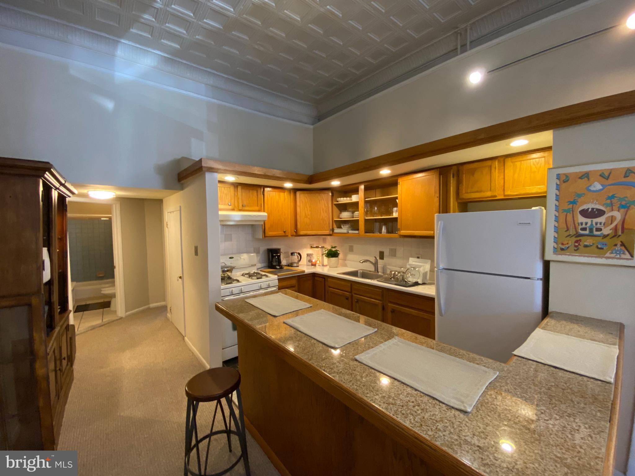 949 South 3rd Street, Unit 1 Philadelphia, PA 19147 - Photo 2 of 10