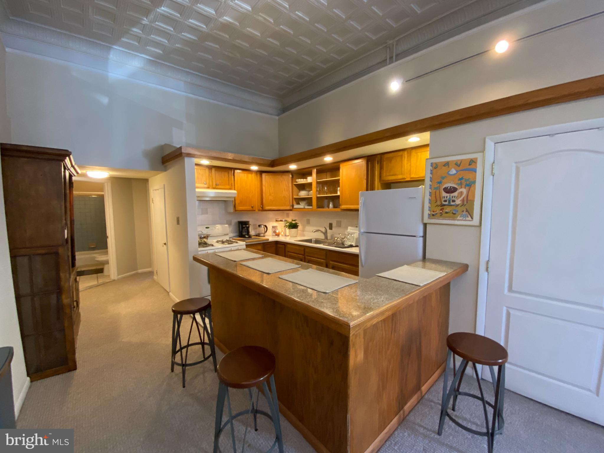 949 South 3rd Street, Unit 1 Philadelphia, PA 19147 - Photo 6 of 10