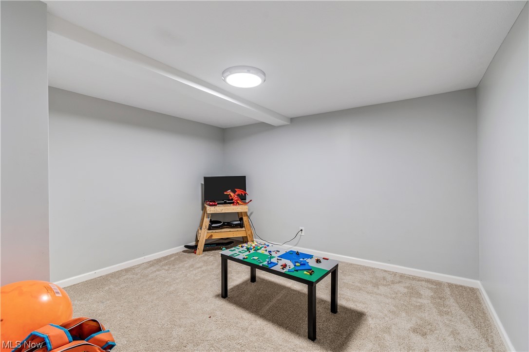 8167 White Road Burbank, OH 44214 - Photo 26 of 33 Gallery Image 26
