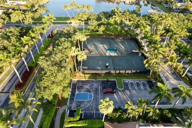 a view of a yard with palm trees