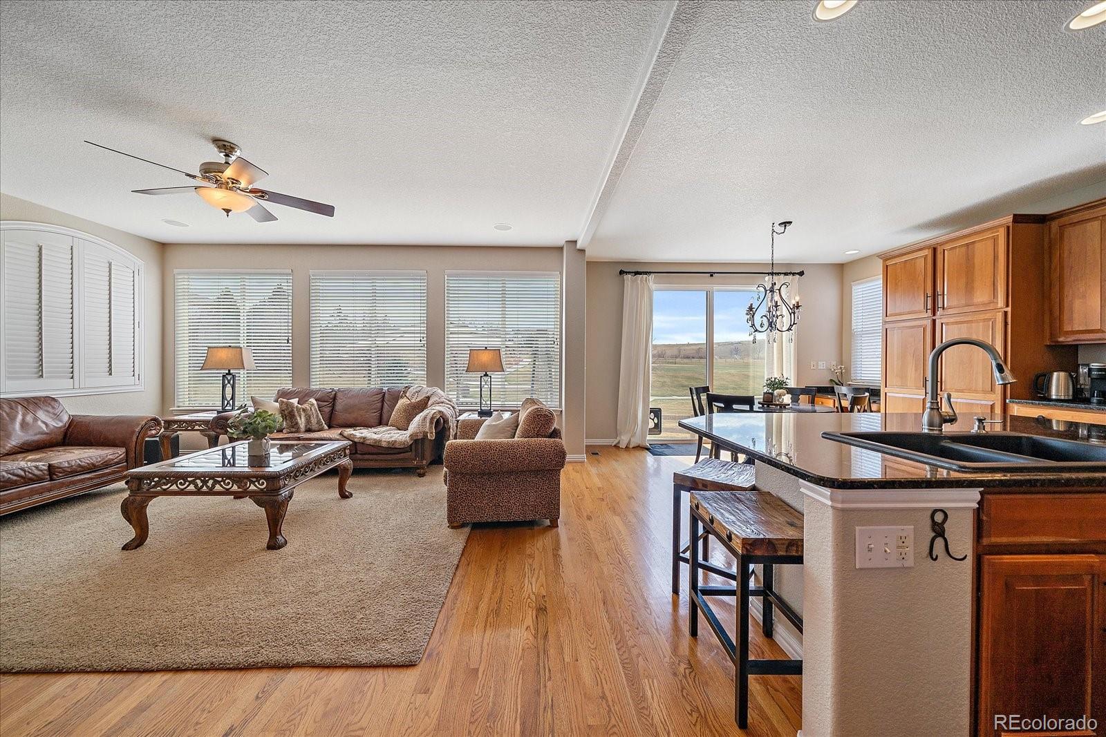 10811 Chadsworth Point Highlands Ranch, CO 80126 - Photo 14 of 50