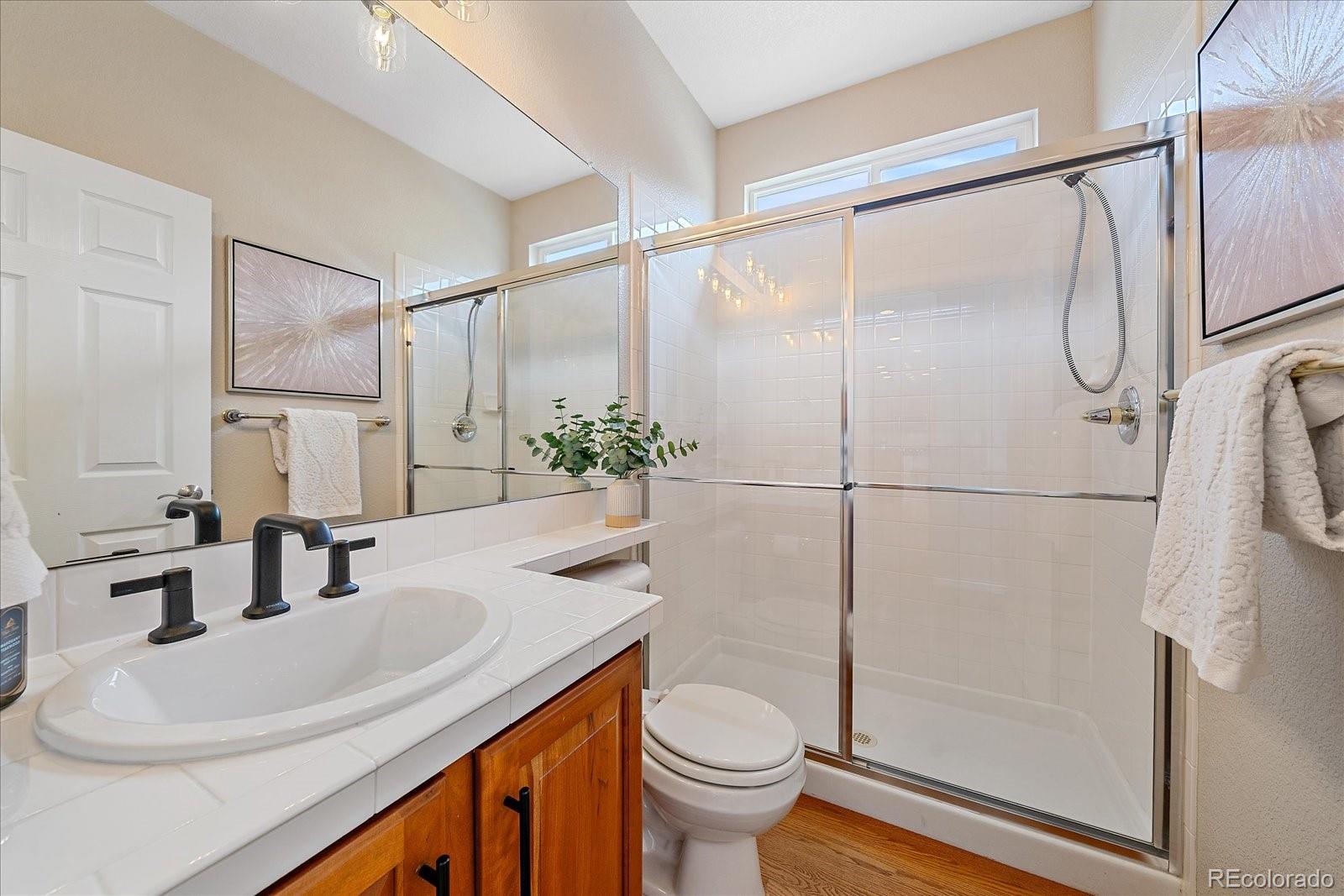 10811 Chadsworth Point Highlands Ranch, CO 80126 - Photo 20 of 50