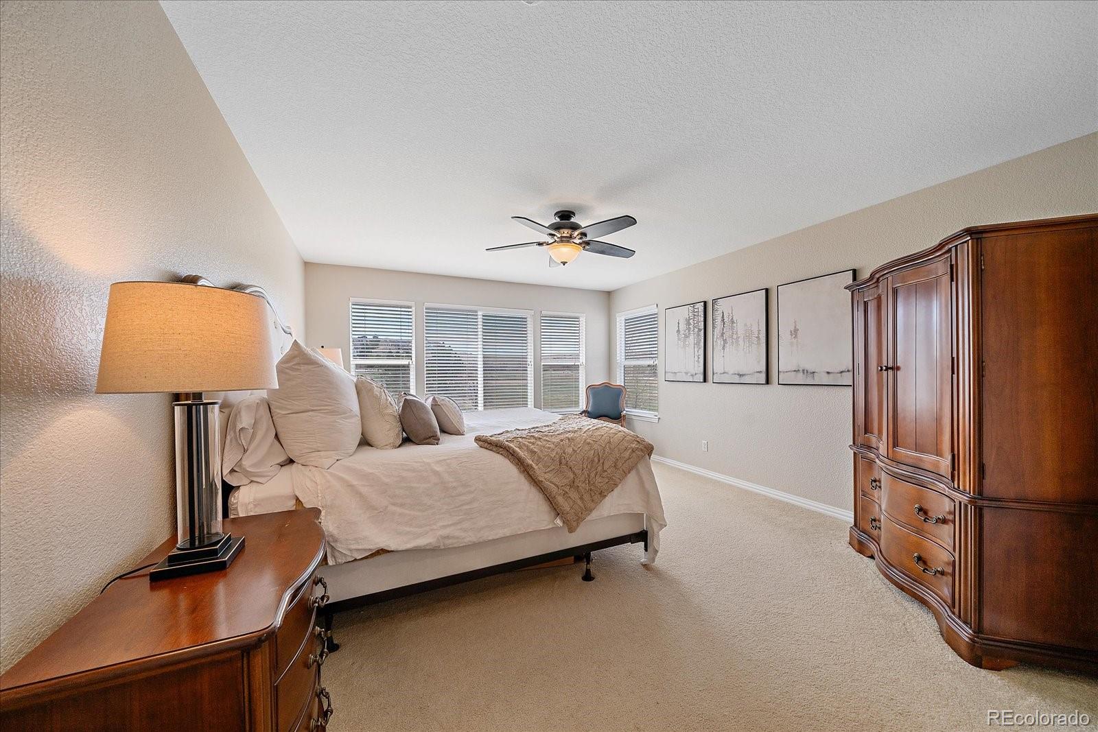 10811 Chadsworth Point Highlands Ranch, CO 80126 - Photo 22 of 50