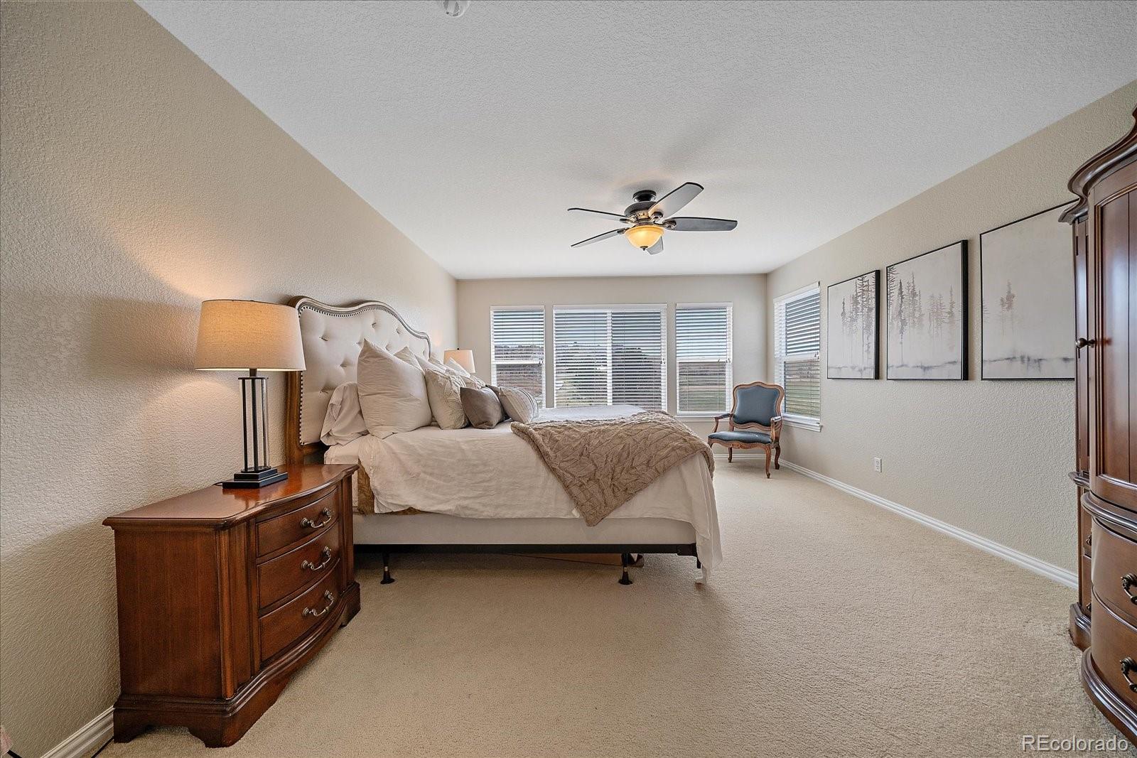 10811 Chadsworth Point Highlands Ranch, CO 80126 - Photo 23 of 50