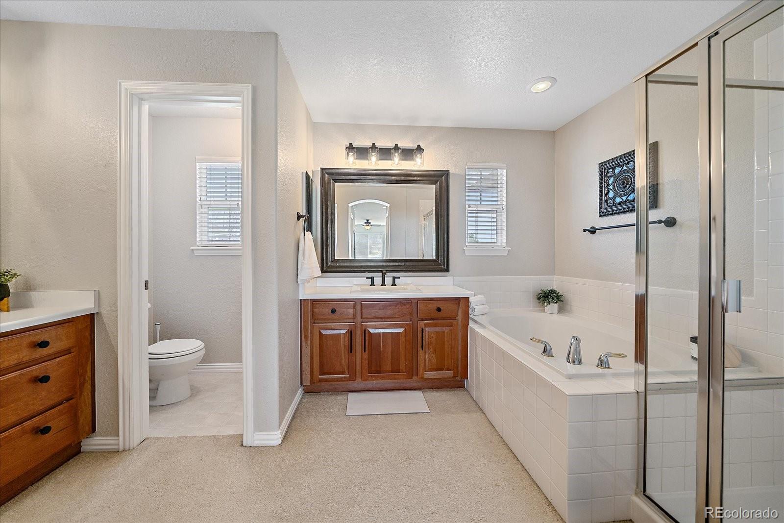 10811 Chadsworth Point Highlands Ranch, CO 80126 - Photo 24 of 50