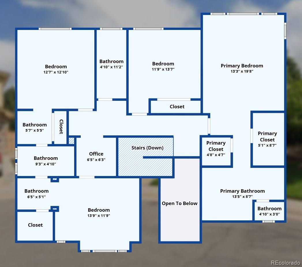 10811 Chadsworth Point Highlands Ranch, CO 80126 - Photo 49 of 50