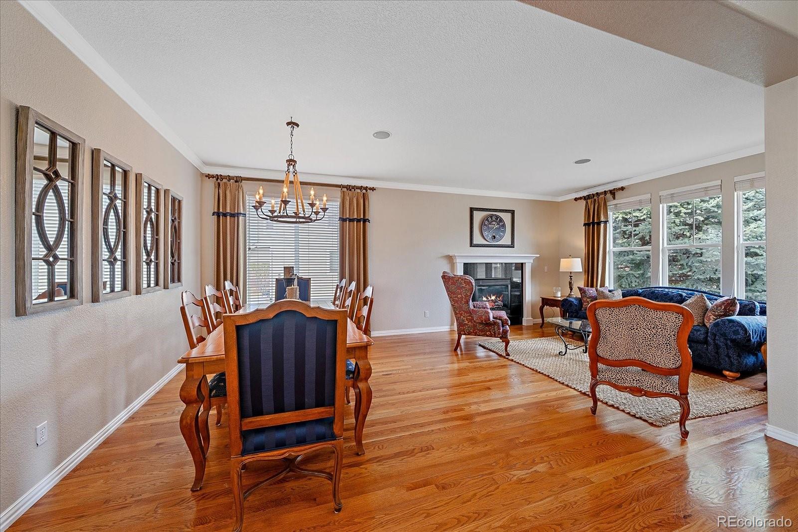 10811 Chadsworth Point Highlands Ranch, CO 80126 - Photo 5 of 50