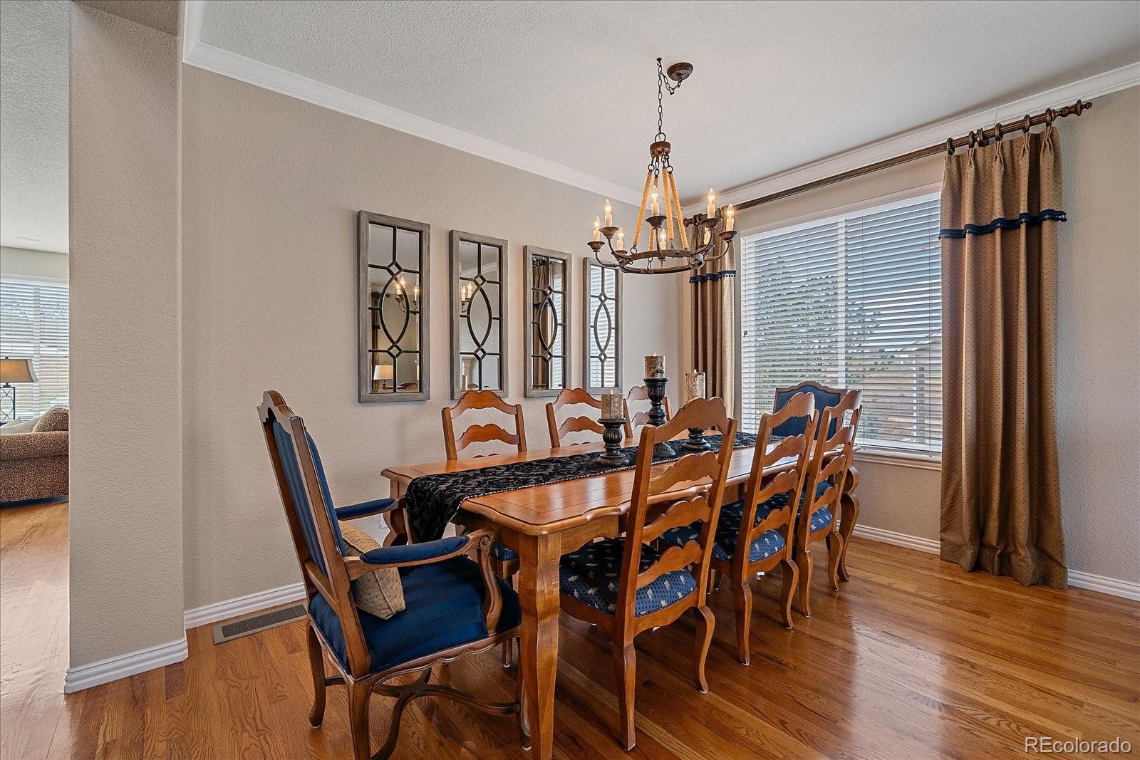 10811 Chadsworth Point Highlands Ranch, CO 80126 - Photo 7 of 50