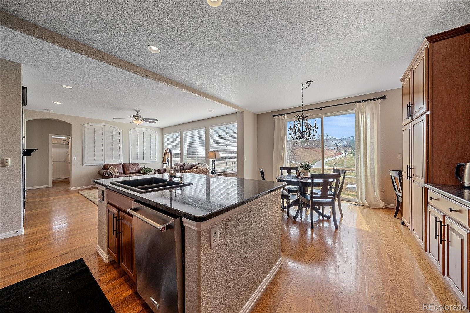 10811 Chadsworth Point Highlands Ranch, CO 80126 - Photo 8 of 50