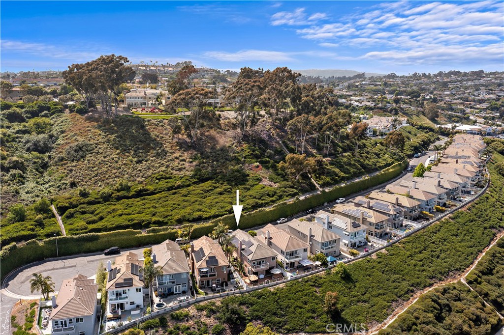 33852 Bridgehampton Drive Dana Point, CA 92629 - Photo 46 of 51 a view of a yard