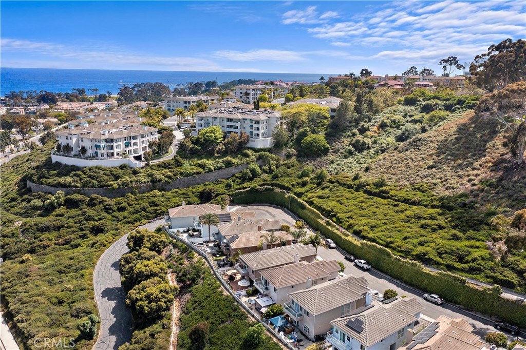 33852 Bridgehampton Drive Dana Point, CA 92629 - Photo 48 of 51