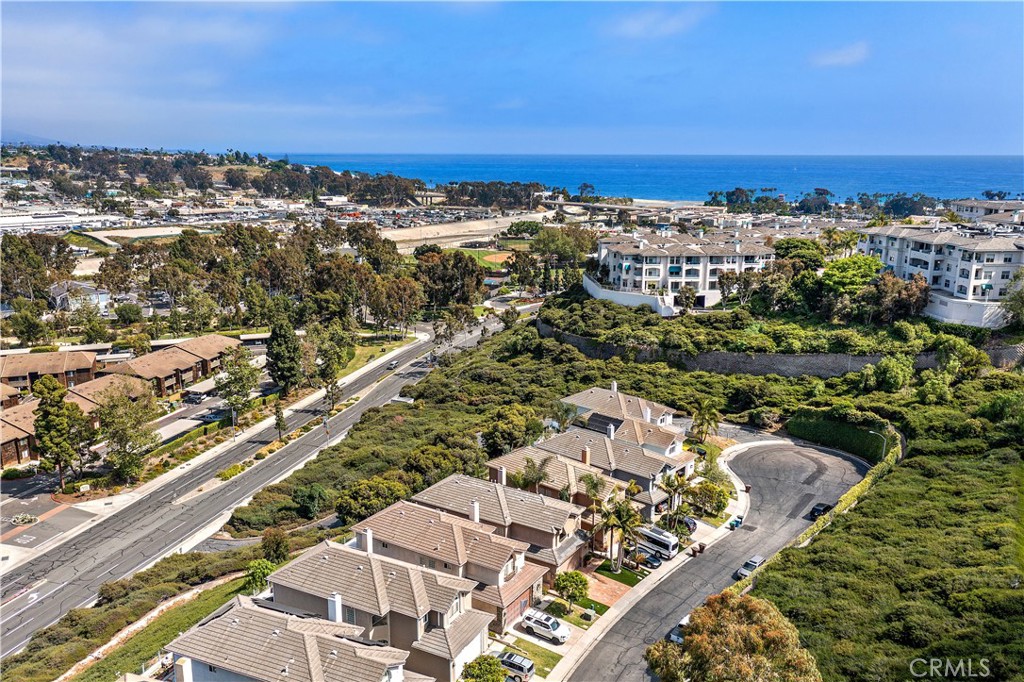 33852 Bridgehampton Drive Dana Point, CA 92629 - Photo 50 of 51 a view of a city
