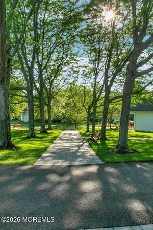a view of a park with large trees