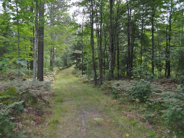 N13269 Flom Road Wausaukee, WI 54177 - Photo 13 of 18 Gallery Image 13