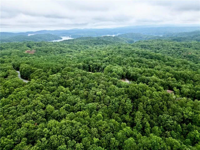 a view of a green field with lots of bushes