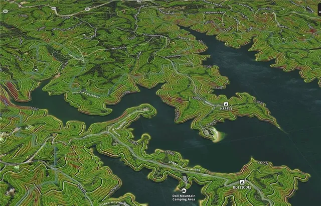 a close up of a flower in a garden