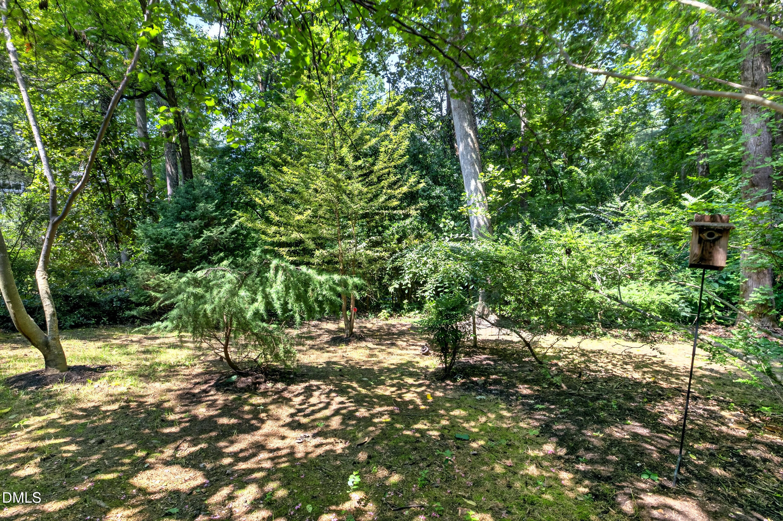 2248 Cranford Road Durham, NC 27705 - Photo 29 of 42 View of back yard.