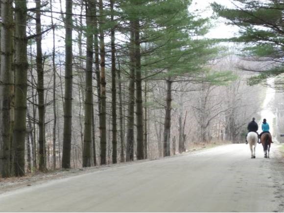 820 Common Road Waitsfield, VT 05673 - Photo 1 of 1